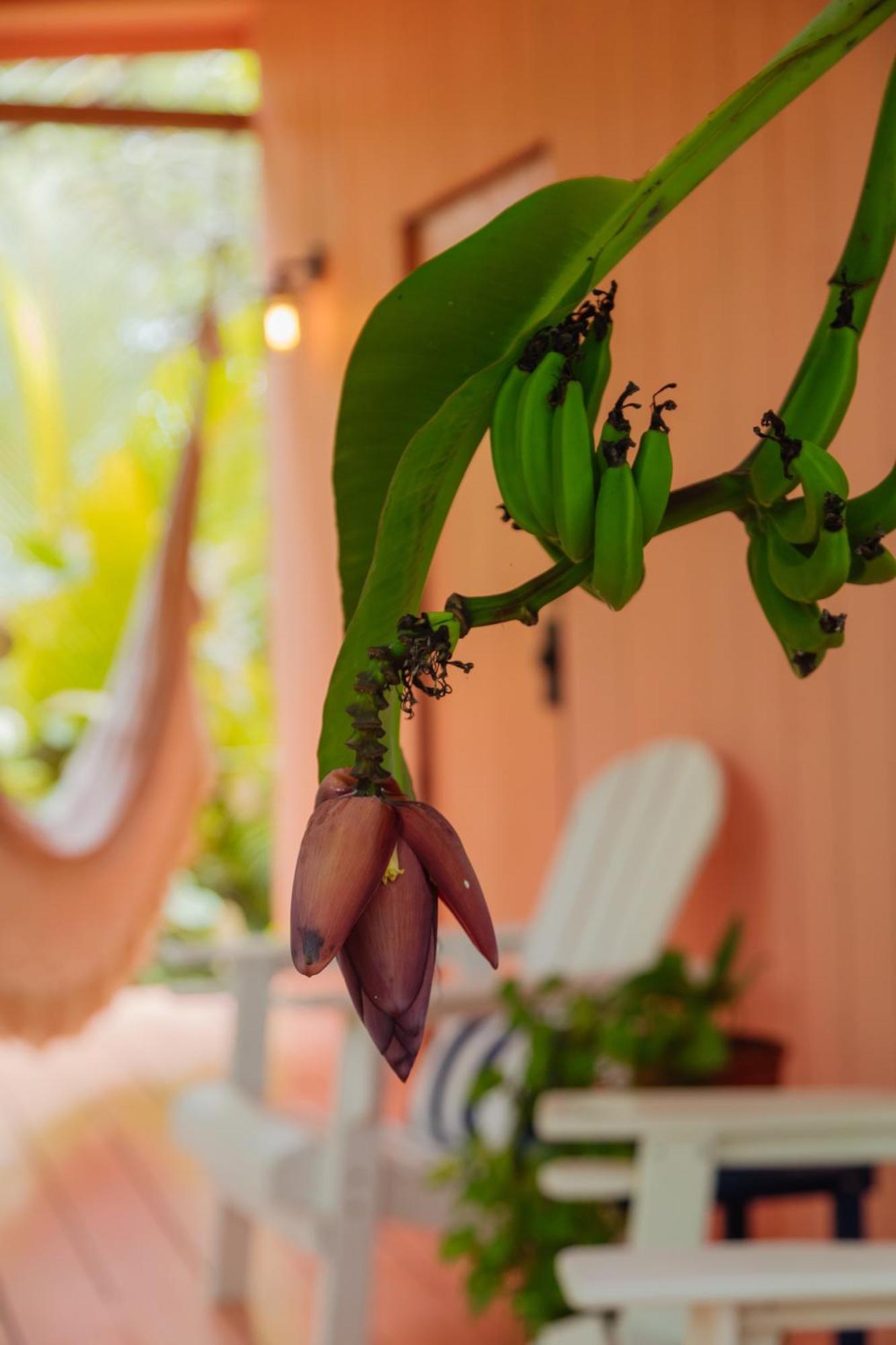 Solea Villa Tropical Santa Marta  Ngoại thất bức ảnh