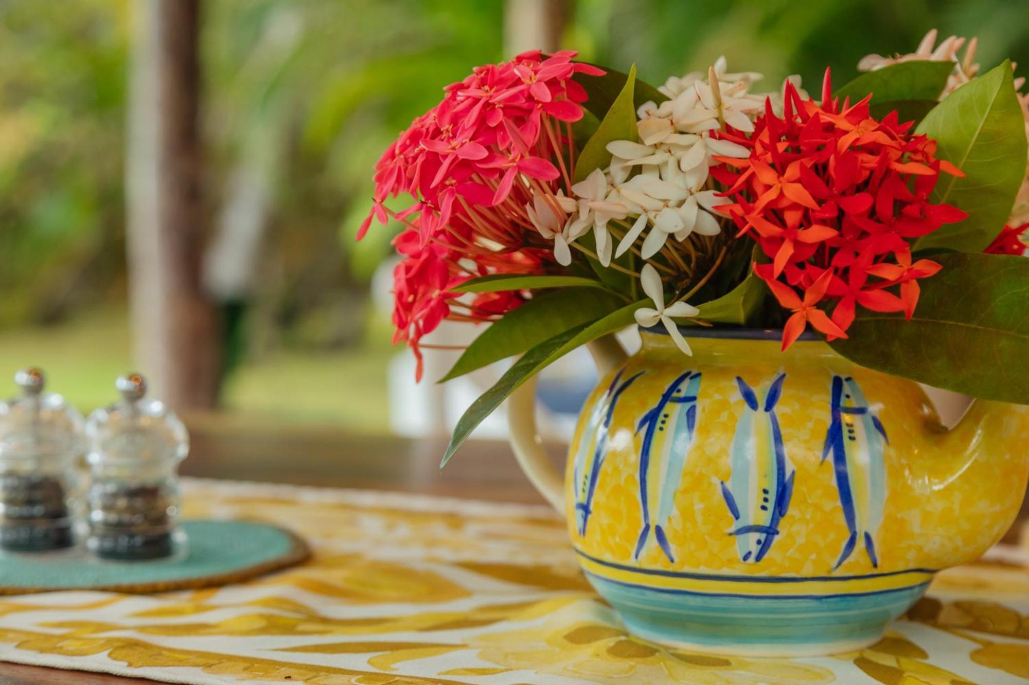 Solea Villa Tropical Santa Marta  Ngoại thất bức ảnh