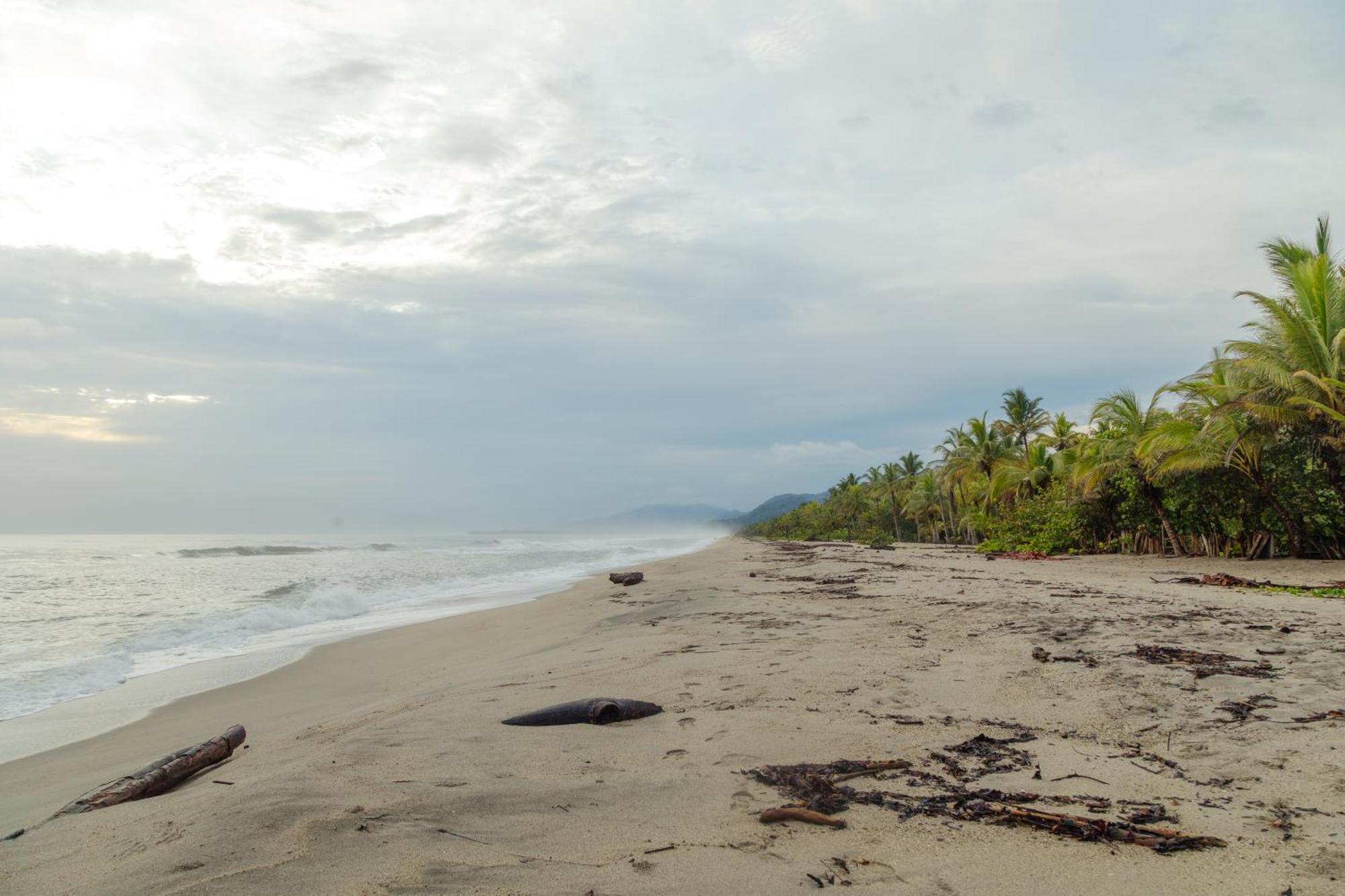Solea Villa Tropical Santa Marta  Ngoại thất bức ảnh