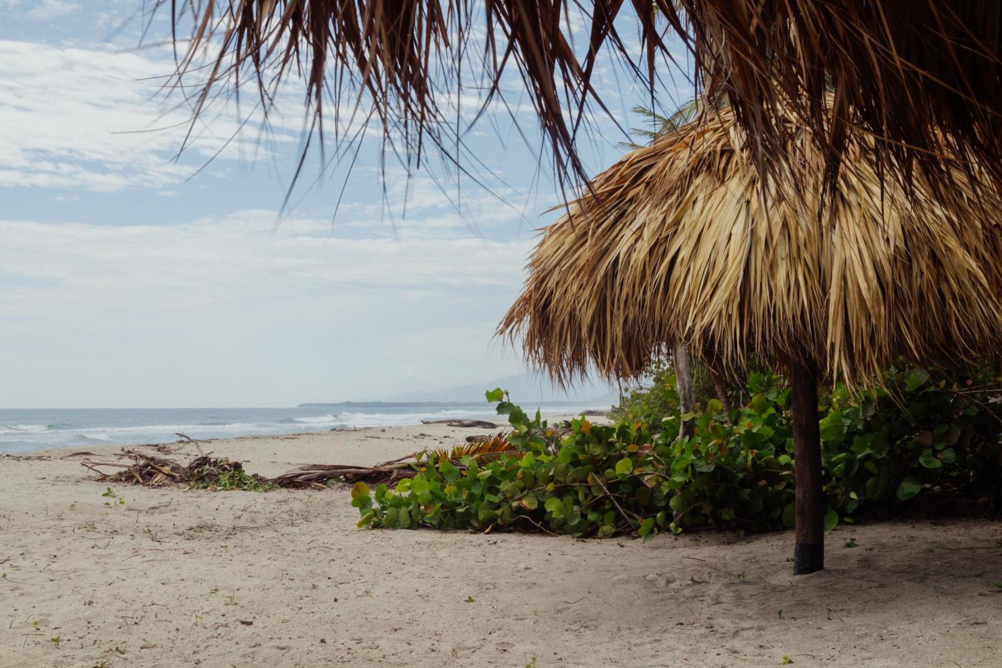 Solea Villa Tropical Santa Marta  Ngoại thất bức ảnh
