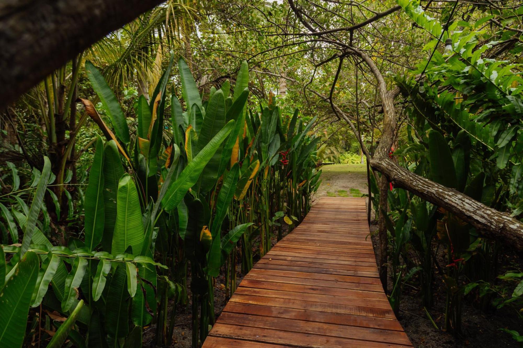 Solea Villa Tropical Santa Marta  Ngoại thất bức ảnh