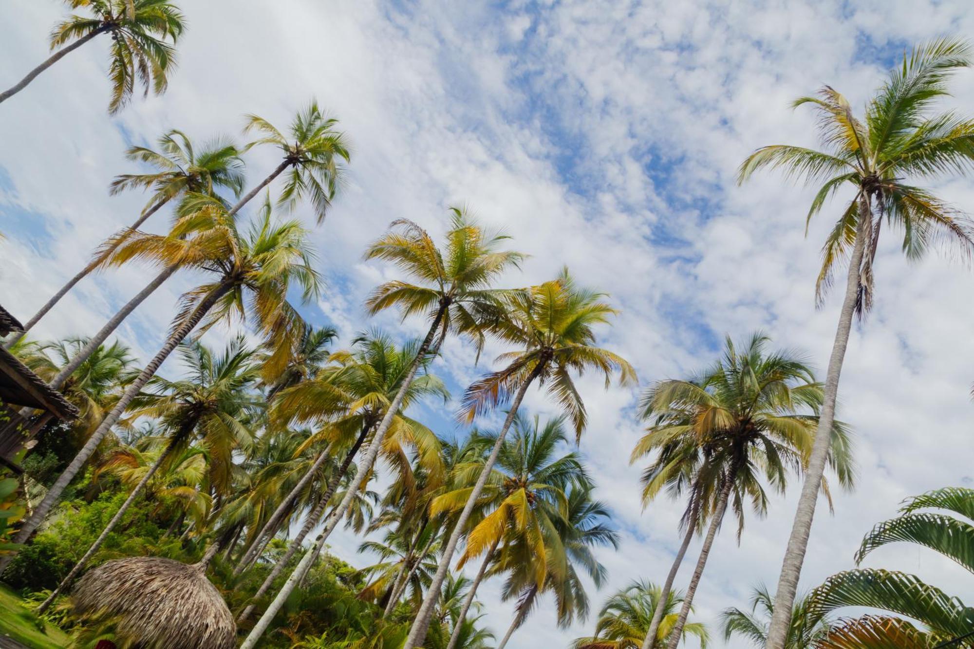 Solea Villa Tropical Santa Marta  Ngoại thất bức ảnh