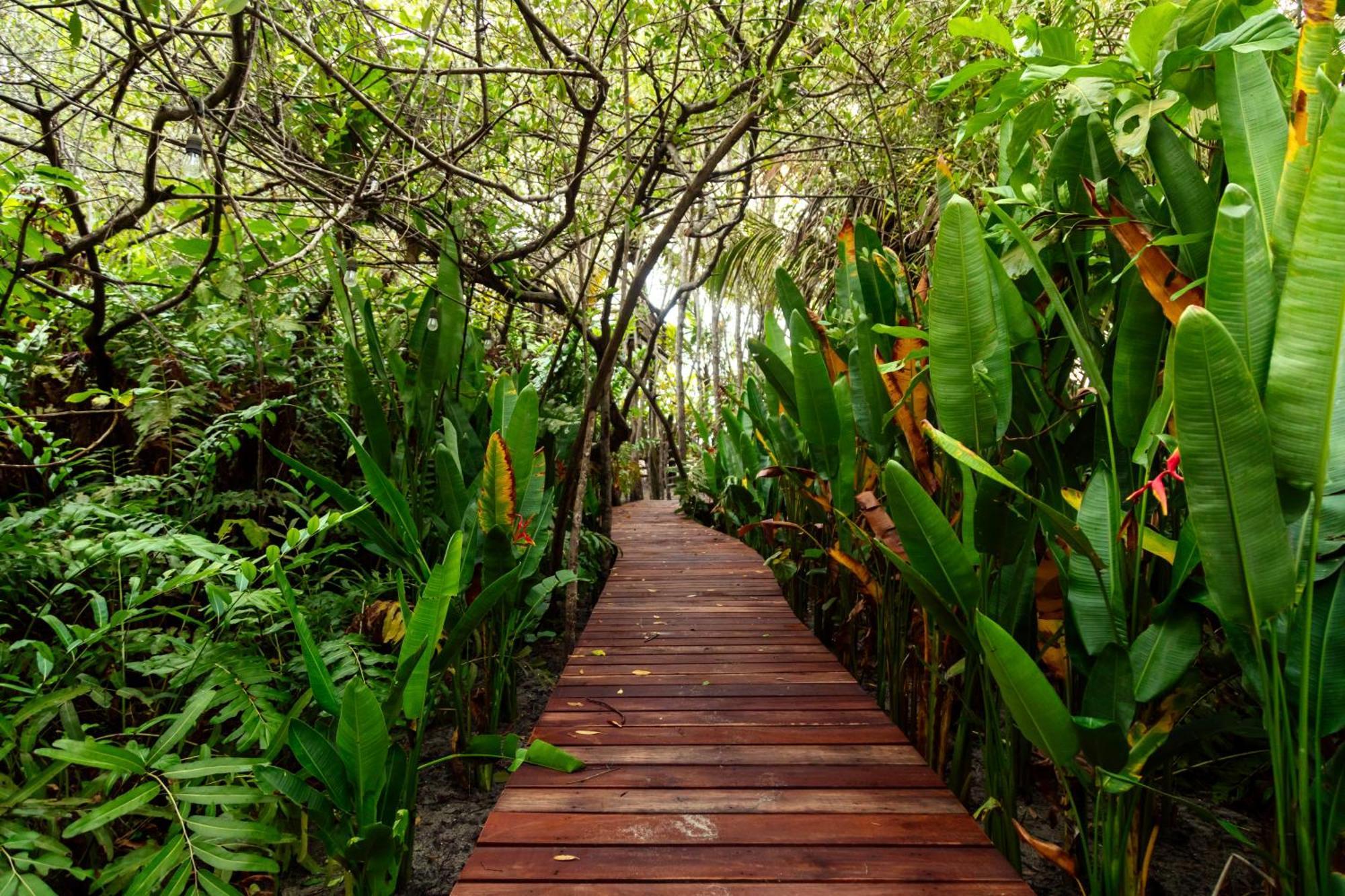 Solea Villa Tropical Santa Marta  Ngoại thất bức ảnh